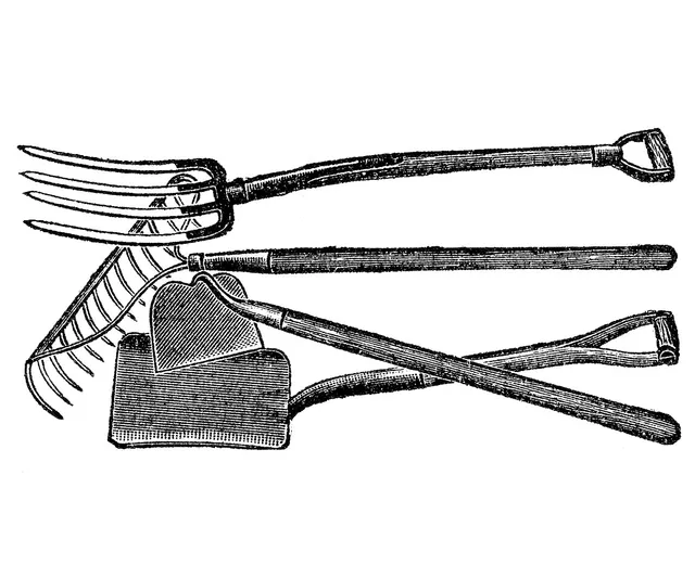 An image